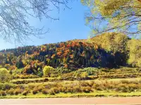 山西最美的季節就要來了，附賞秋旅遊攻略
