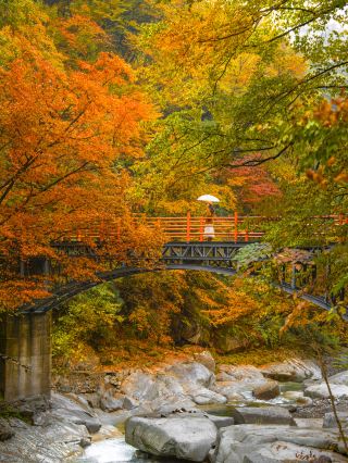 I rarely use the word "stunning" to describe a place's autumn scenery