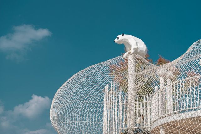注意!這不是油畫,而是成都的彩色秋天! 注意!這不是油畫,而是成都的彩色秋天!