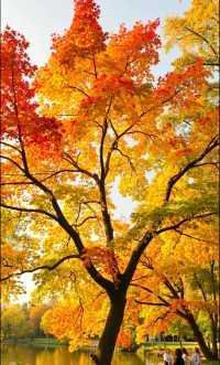 秋天的調色盤打翻在雲平山|小眾秘境等你來探