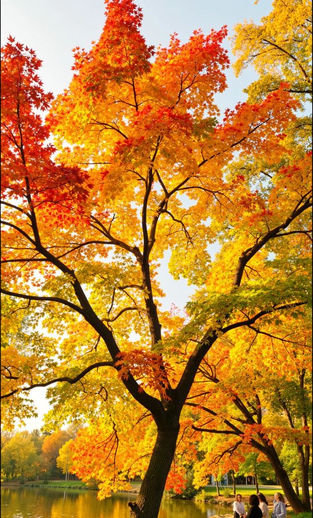 秋天的調色盤打翻在雲平山|小眾秘境等你來探 秋天的調色盤打翻在雲平山|小眾秘境等你來探