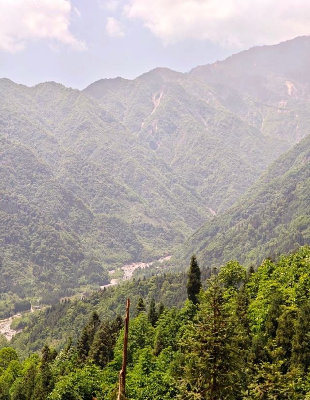 暮光森林秘境 暮光森林秘境