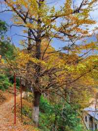 被時光遺忘的金色童話！錯過再等一年！