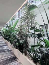 昆明秘境花園打卡點