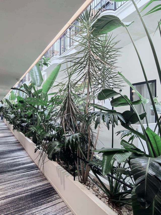 昆明秘境花園打卡點