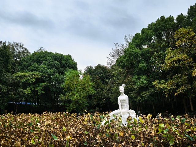 西施故里小眾打卡點 西施故里小眾打卡點