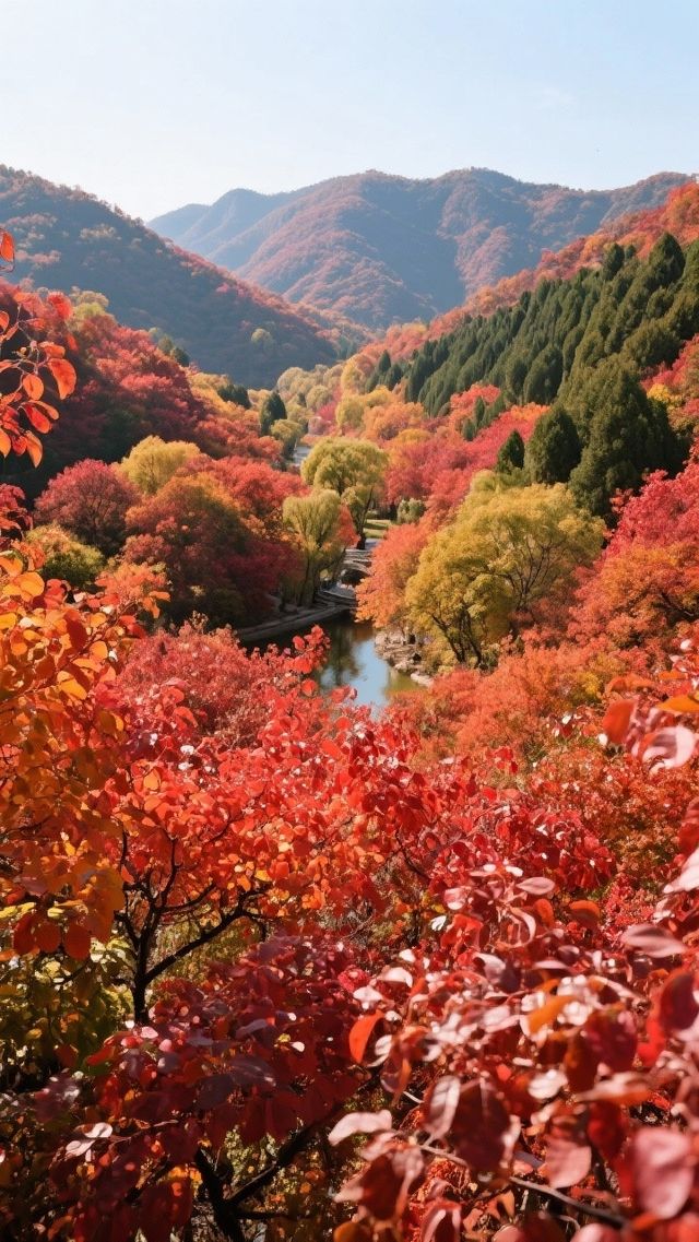 紅葉谷_您值得一去的地方!來了定不後悔! 紅葉谷_您值得一去的地方!來了定不後悔!