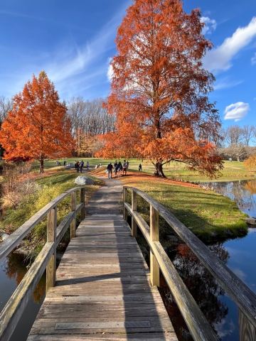 DMV Hidden Gem for Boating + Autumn Viewing Spot