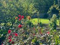 Exploring Fulham Palace