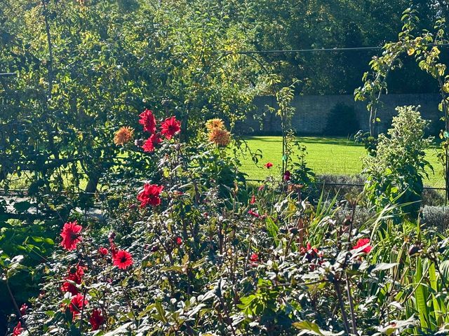 Exploring Fulham Palace