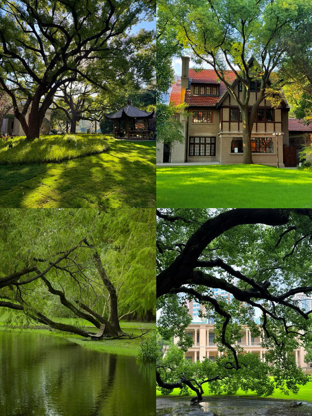 上海是一個巨大的公園… 上海是一個巨大的公園…