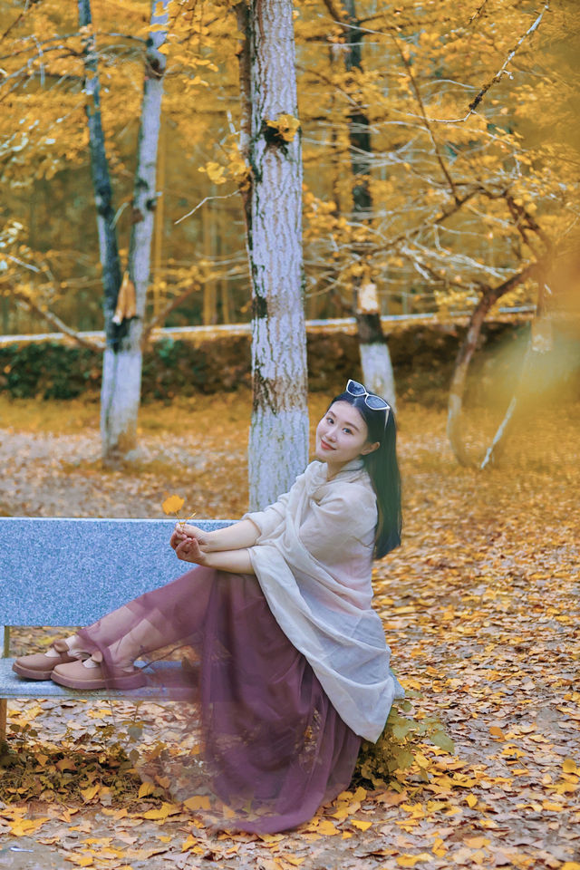 走進韶關帽子峰，彷彿踏入一幅金秋畫卷