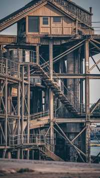 自貢恐龍燈會雙打卡