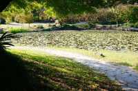 深秋「好色」去上海植物園