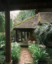 商務出行選鴻達開票so easy實力圈粉