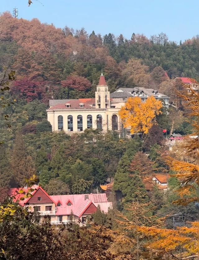 莫干山的秋！藏在古道裡的彩色秘境