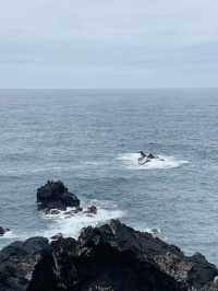 韓國5日遊秋天去簡直絕配