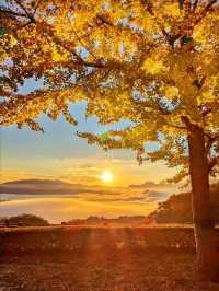 秋霜送君千里遠，月候來年嶺上紅