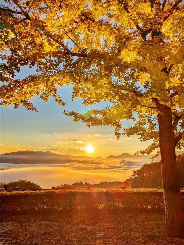 秋霜送君千里遠，月候來年嶺上紅