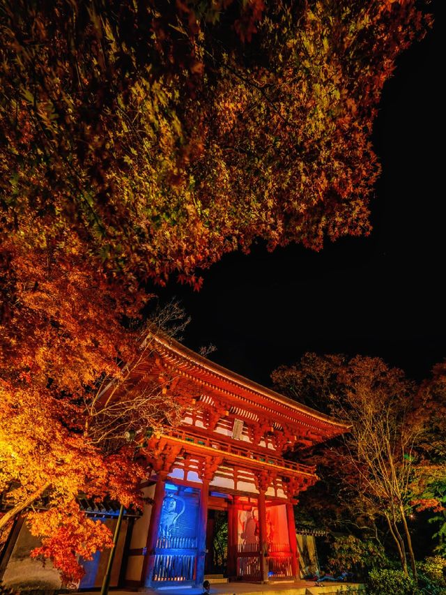 爆美！！！奈良室生寺紅葉燈光展·小眾秘境打卡指南