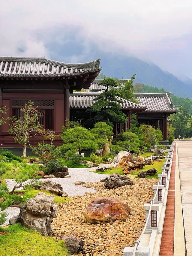 這是我花5蚊雞就能看到的景色？！？！