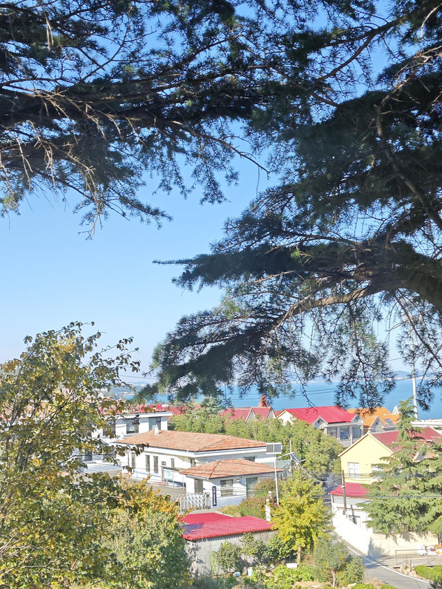 青島最美山海公路!618路環海攻略來啦 青島最美山海公路!618路環海攻略來啦