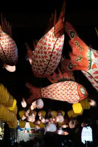 婺女洲|體驗一場盛世繁華|附機位