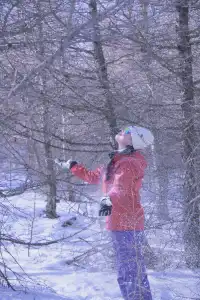 不想上班的小張今天去樺皮嶺