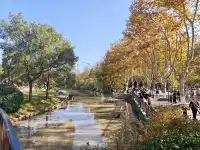 上海野生動物園的快樂