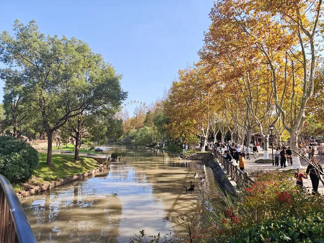 上海野生動物園的快樂 上海野生動物園的快樂
