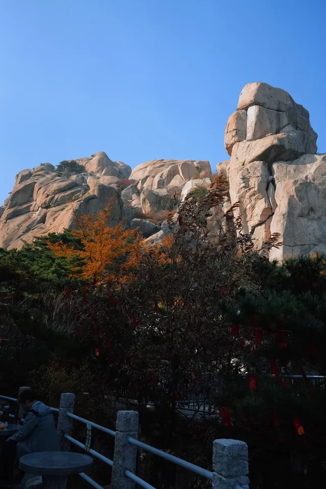 崂山半日遊 崂山半日遊