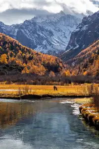 住進4000米的亞丁村,推窗見神山!