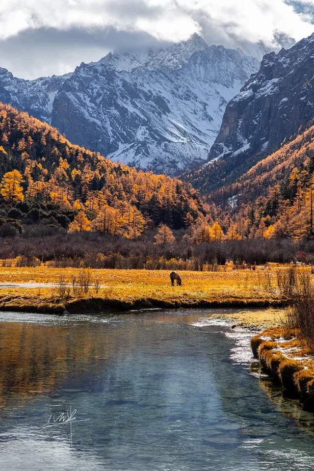 住進4000米的亞丁村,推窗見神山! 住進4000米的亞丁村,推窗見神山!