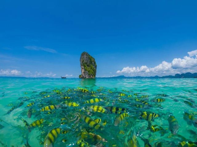 重磅!《孤獨星球》2026全球25強旅行地揭曉