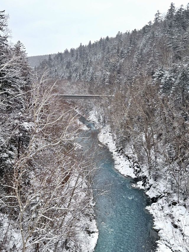 北海道，將迎來封神級別的冬天