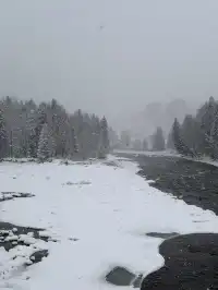 4大2小｜阿勒泰禾木喀納斯美到失語的秋假