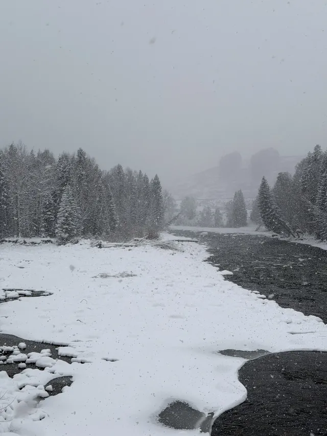4大2小｜阿勒泰禾木喀納斯美到失語的秋假