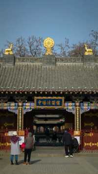 金塔藍天下佛光普照