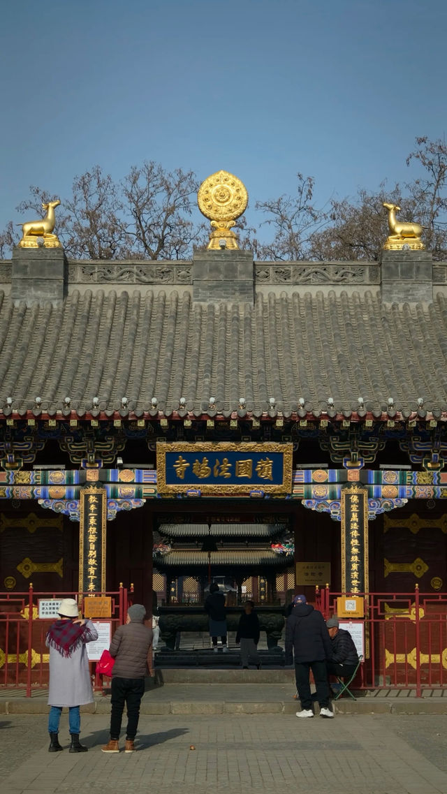 金塔藍天下佛光普照