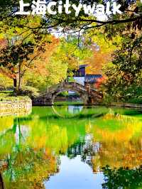 上海也有莫奈的花園