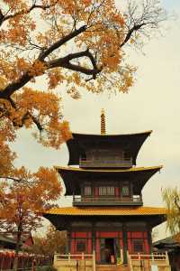 廣富林的深秋中式美學達到巔峰!