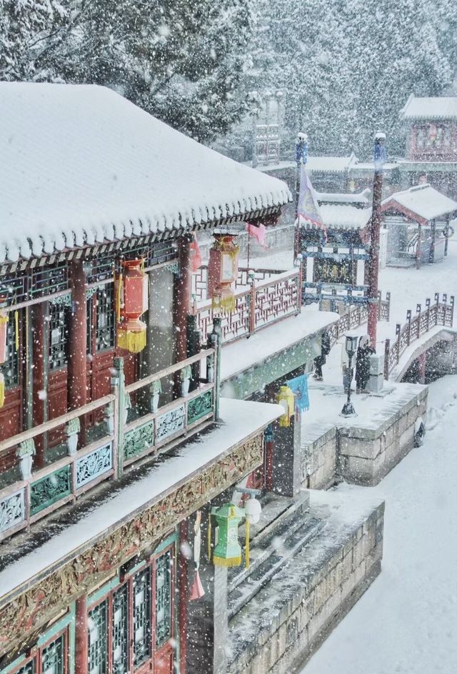 雪落京城，赴一場古今交織的冬日盛宴