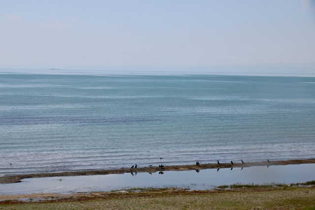 仙海錯溫布-庫庫諾爾-青海湖青海天境遊 仙海錯溫布-庫庫諾爾-青海湖青海天境遊