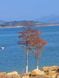 冬季來臨,白廊還值得來遊玩嗎?