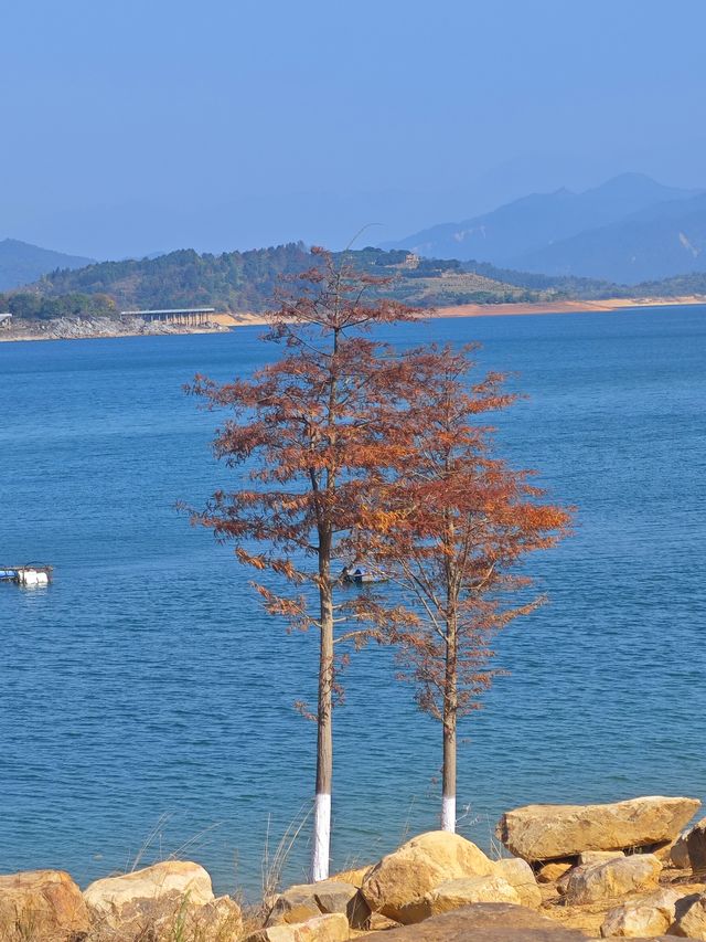 冬季來臨,白廊還值得來遊玩嗎? 冬季來臨,白廊還值得來遊玩嗎?