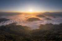 古茶聖地景邁山