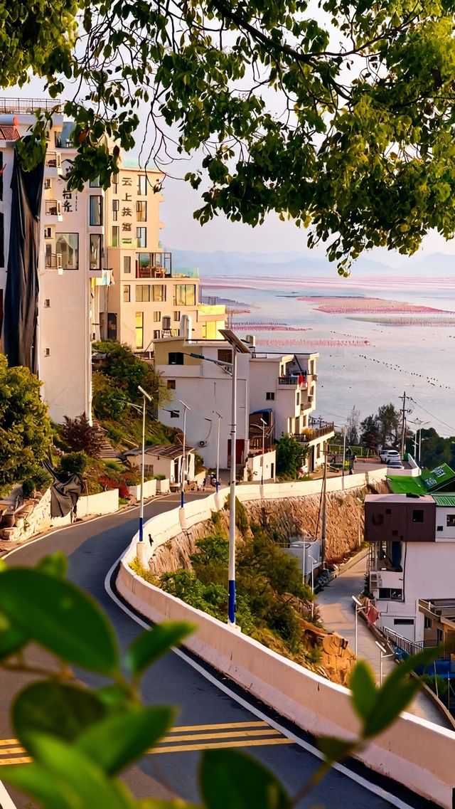 人回來了，心還在霞浦