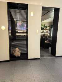 阜陽寶藏酒店｜在花坊把旅居拍成生活美學