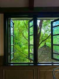 昆明這家法式秘境酒店也太絕了!一秒穿越南法