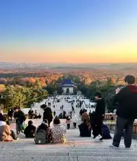 南京賞秋拍照路線旅遊攻略